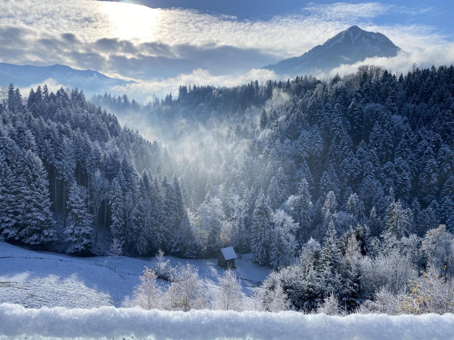 Wohnung Staufenblick Und Wohnung Firstblick Dornbirn Exterior foto
